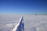Тегус-Лор-2011