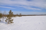 Тегус-Лор-2011