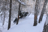 Снежный Омск-2010