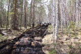 Разведка дороги 